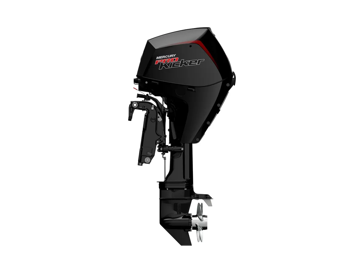 Mercury FourStroke 25